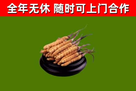 延津县烟酒回收冬虫夏草.jpg